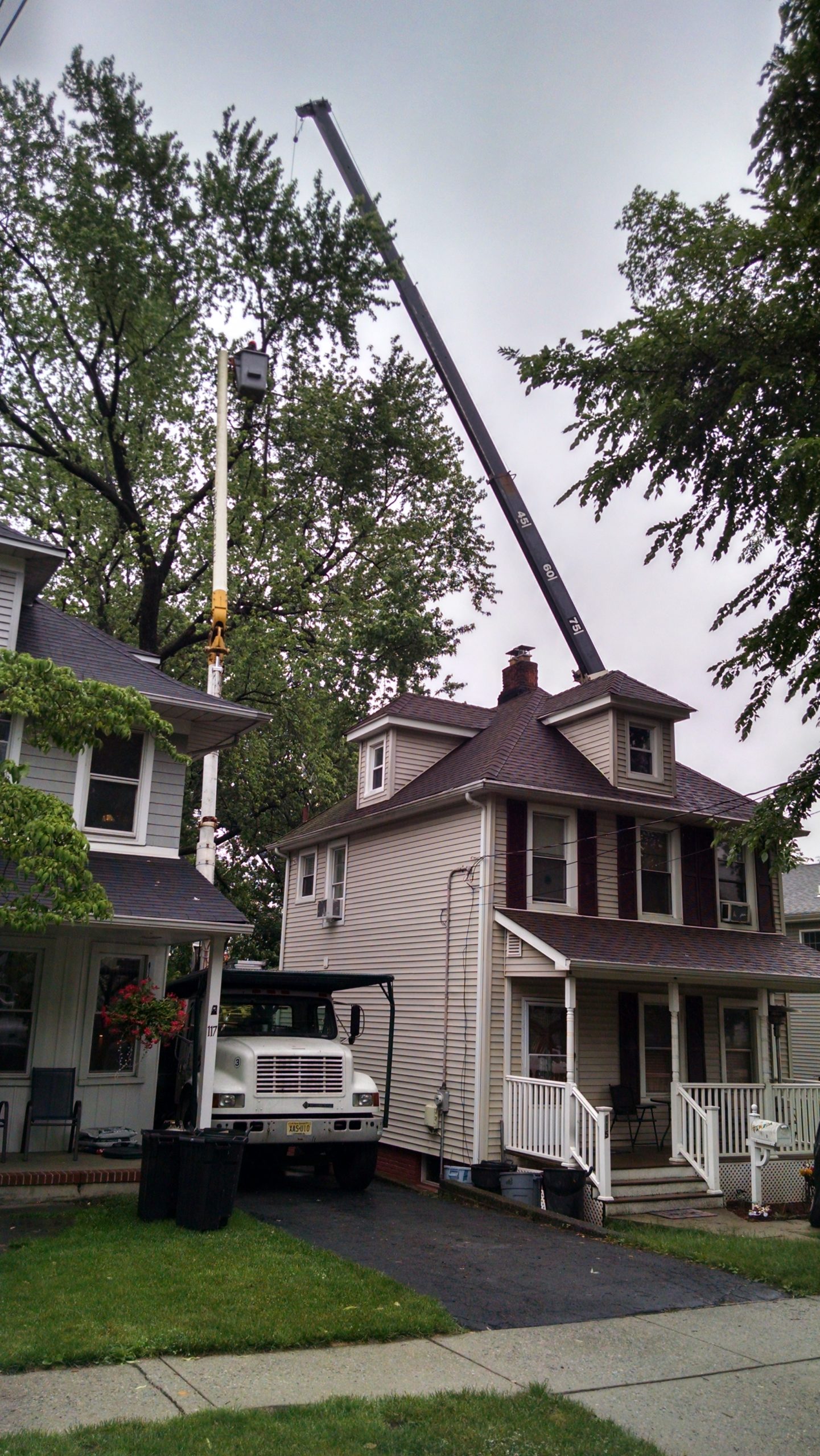 Tree Removal Residential Neighborhood Service