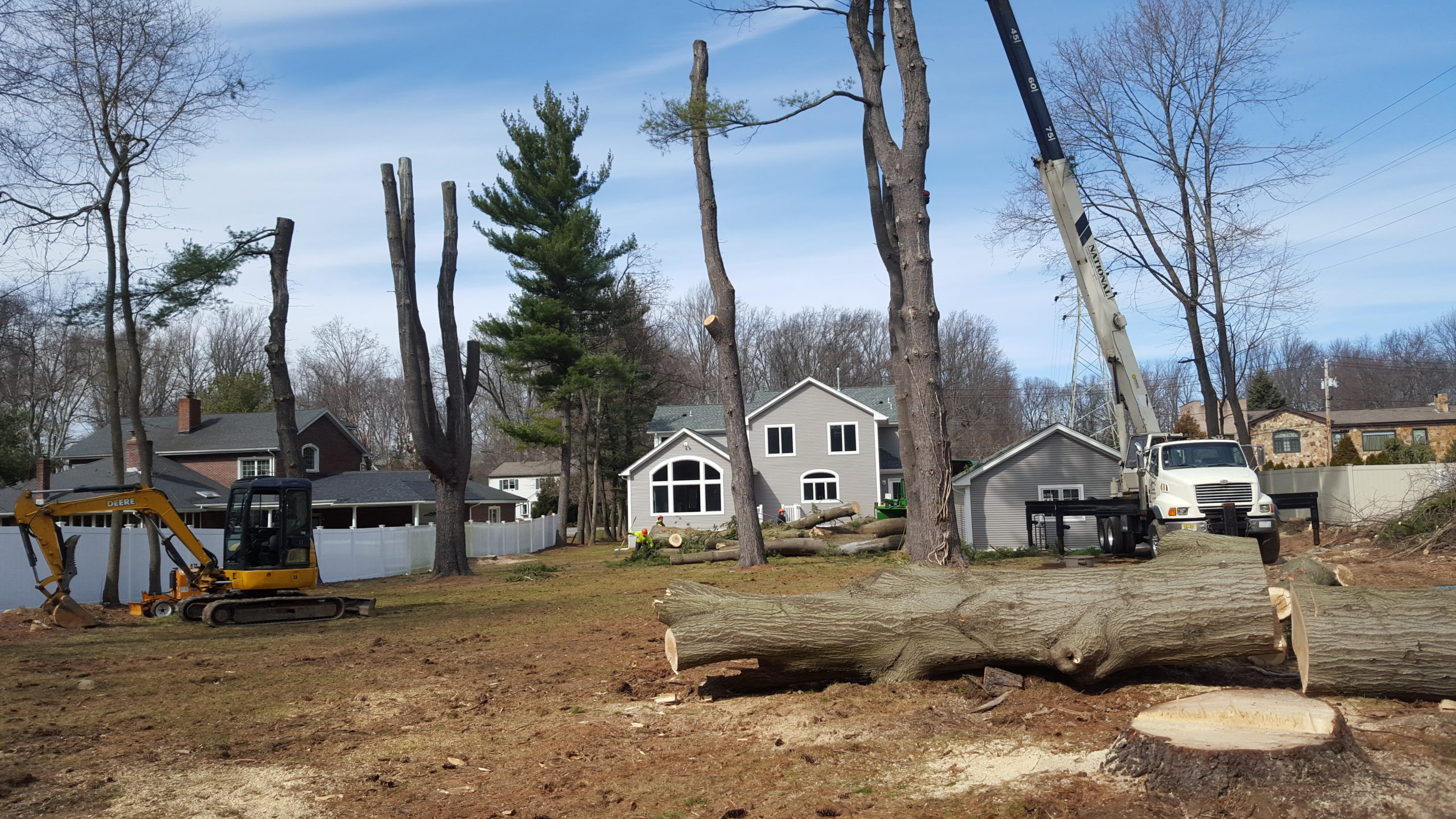 North NJ Tree Removal Services