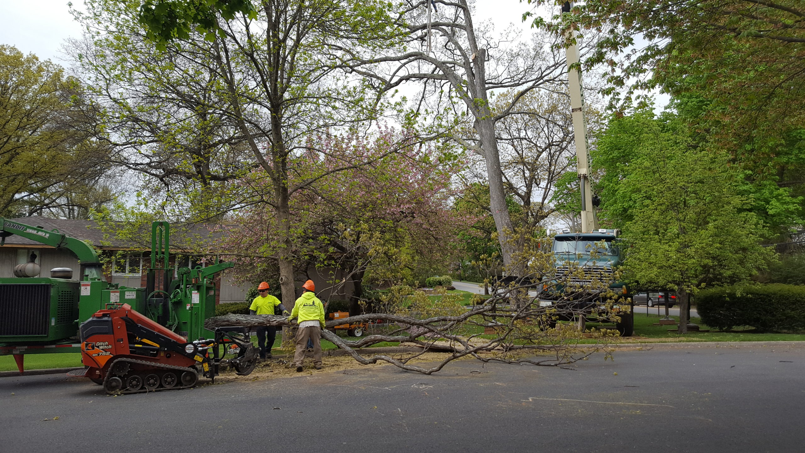 Boulder Hill NJ Tree Removal Service