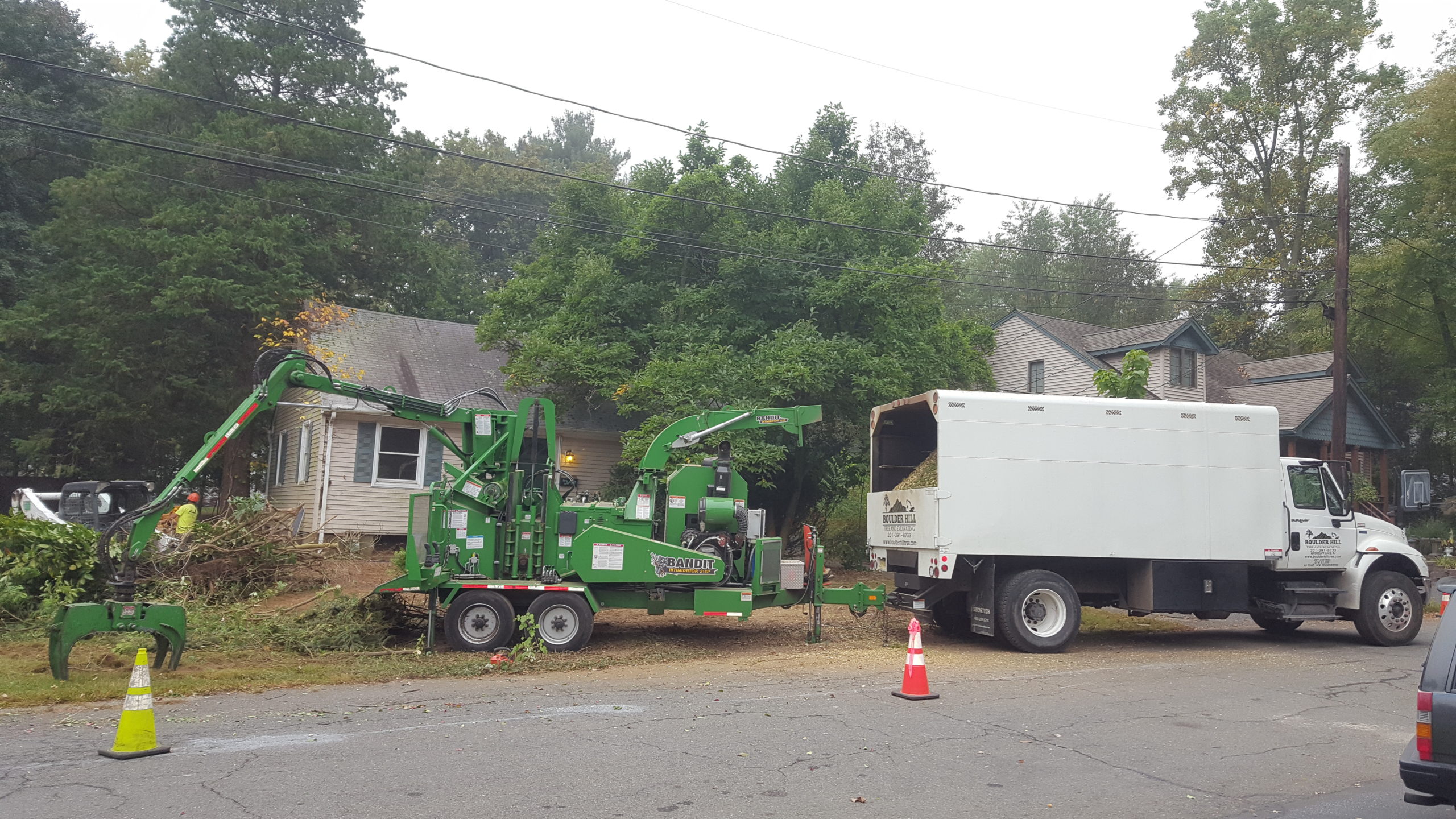 Boulder Hill Residential Tree Removal Services