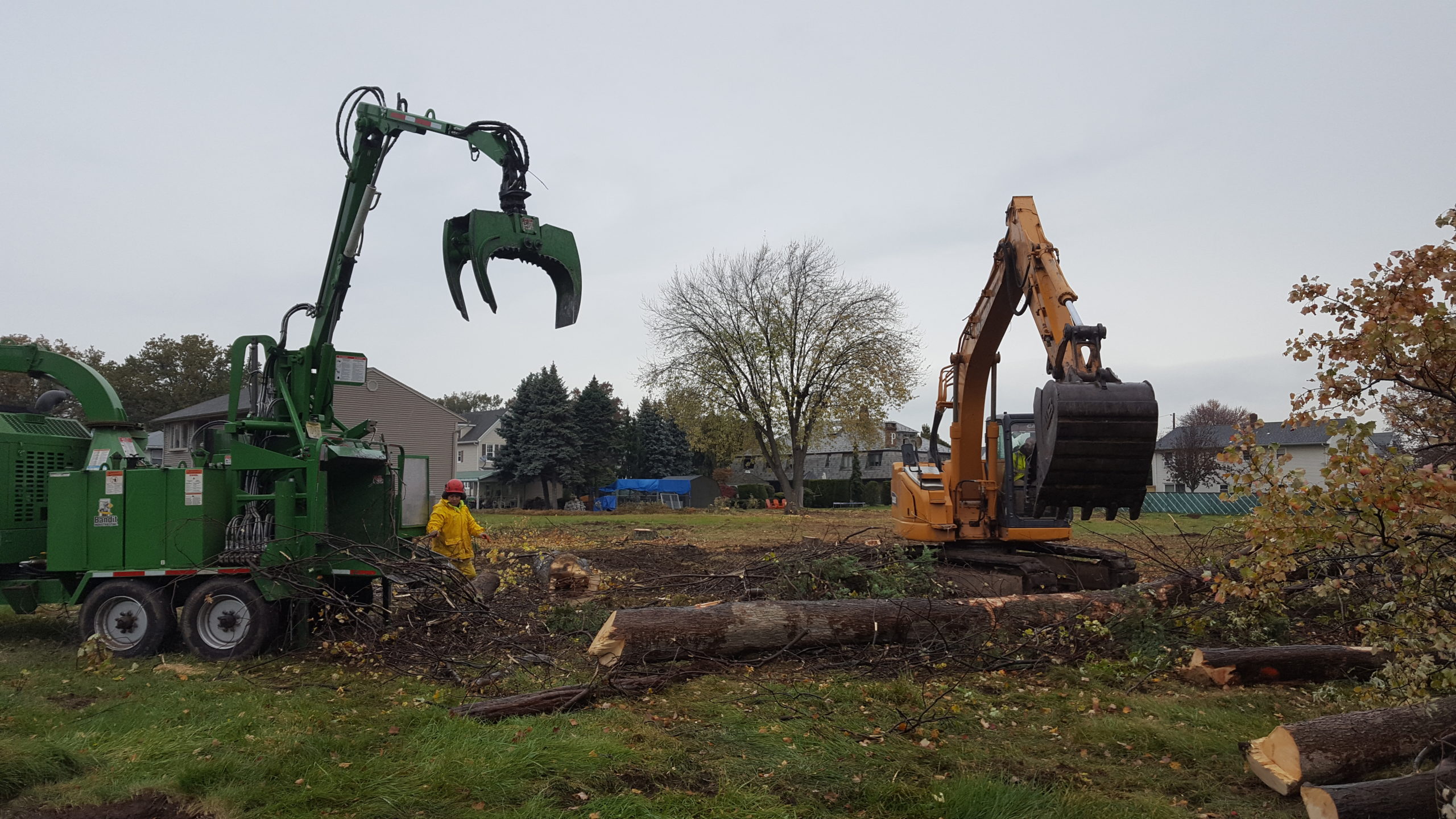 Cranes and Tree Trunks - NJ Land Clearing Services