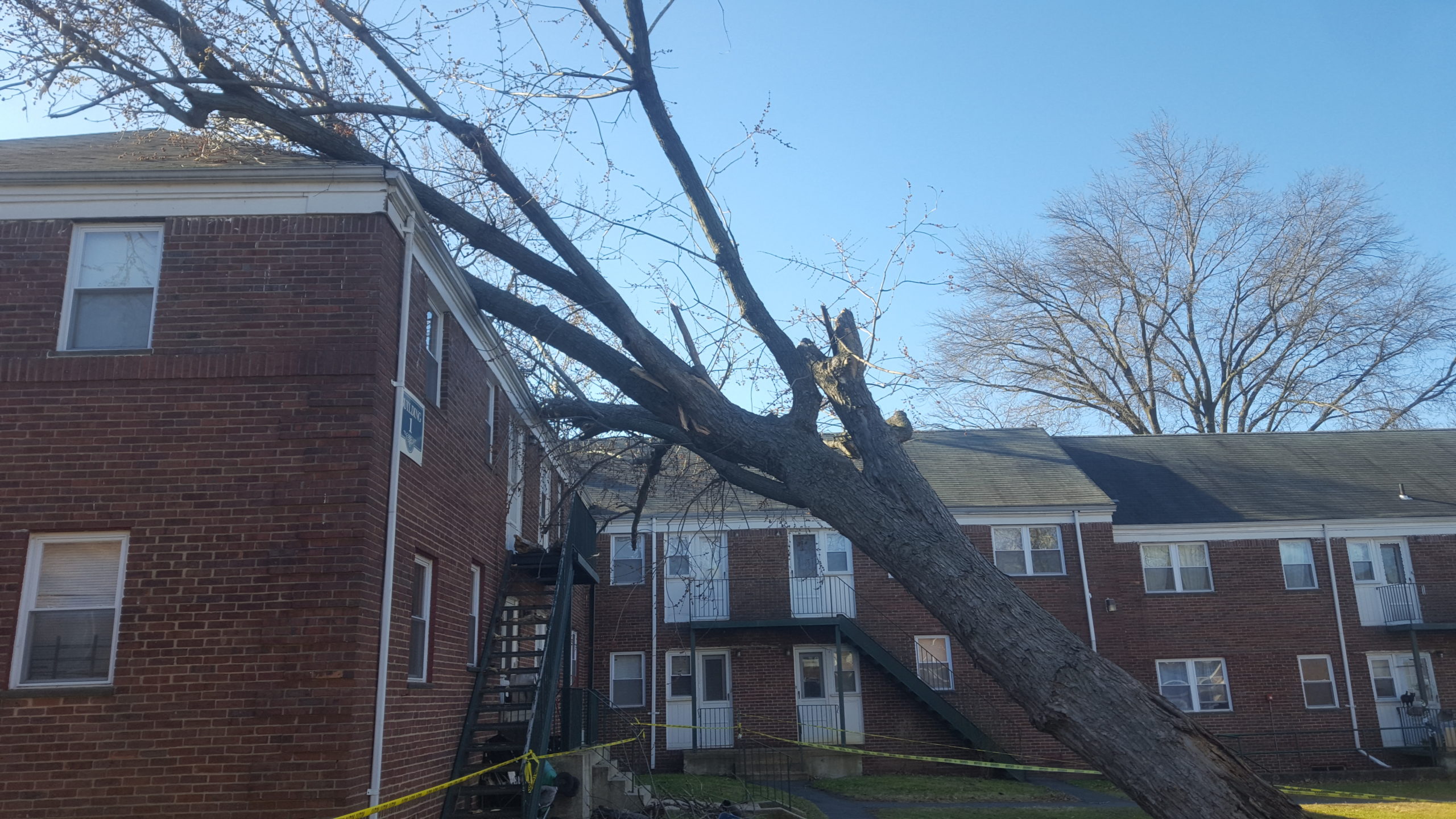 Tree Fell on Residence - NJ Storm Damage Services