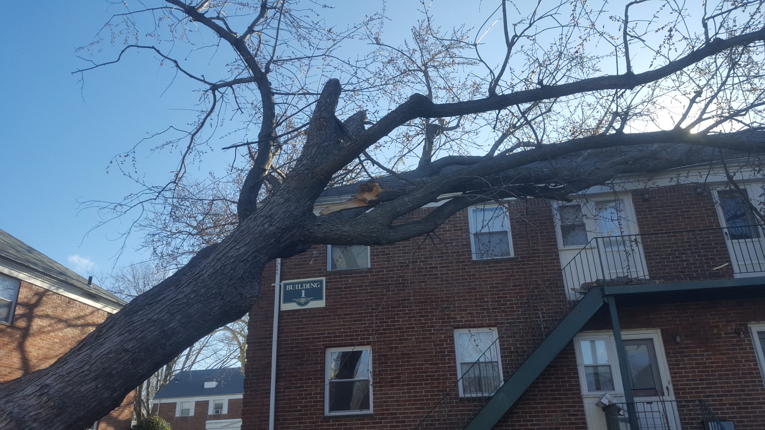 Tree on Apartment Building - Storm Damage Services