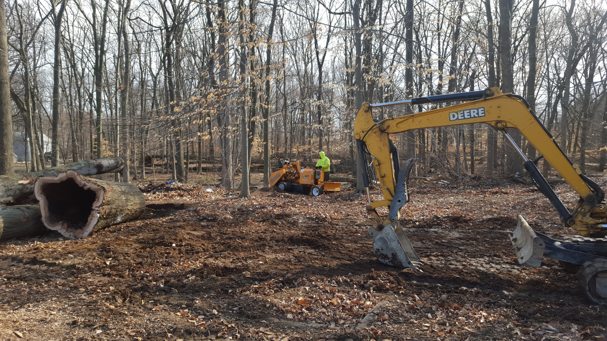 Land Clearing Tree Service NJ