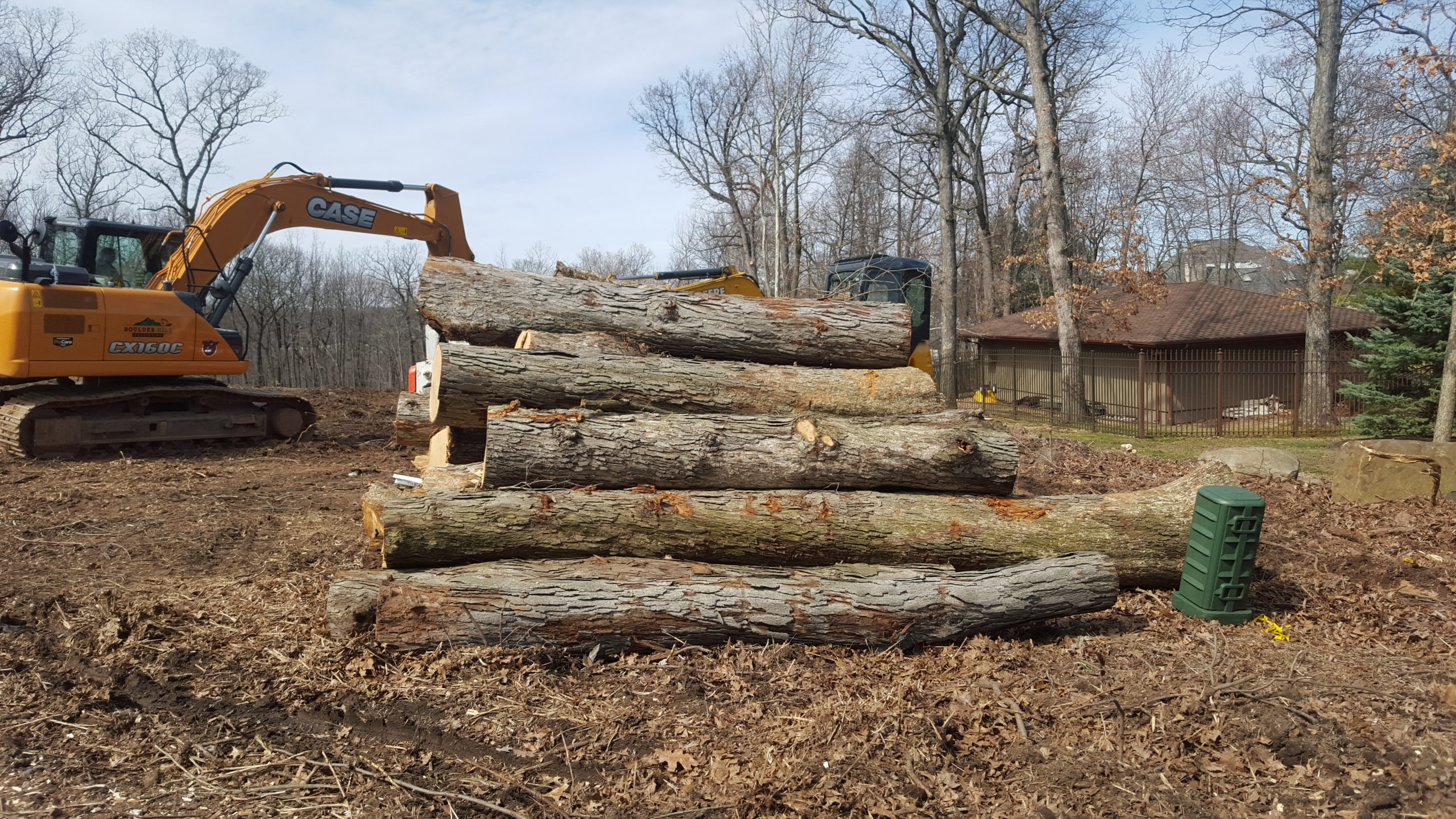 Land Clearing Tree Service Tree Trunks