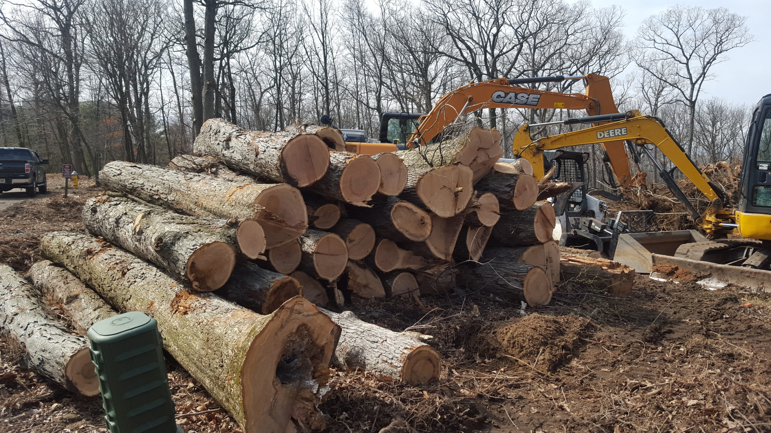 Land Clearing Wood Pile Service NJ