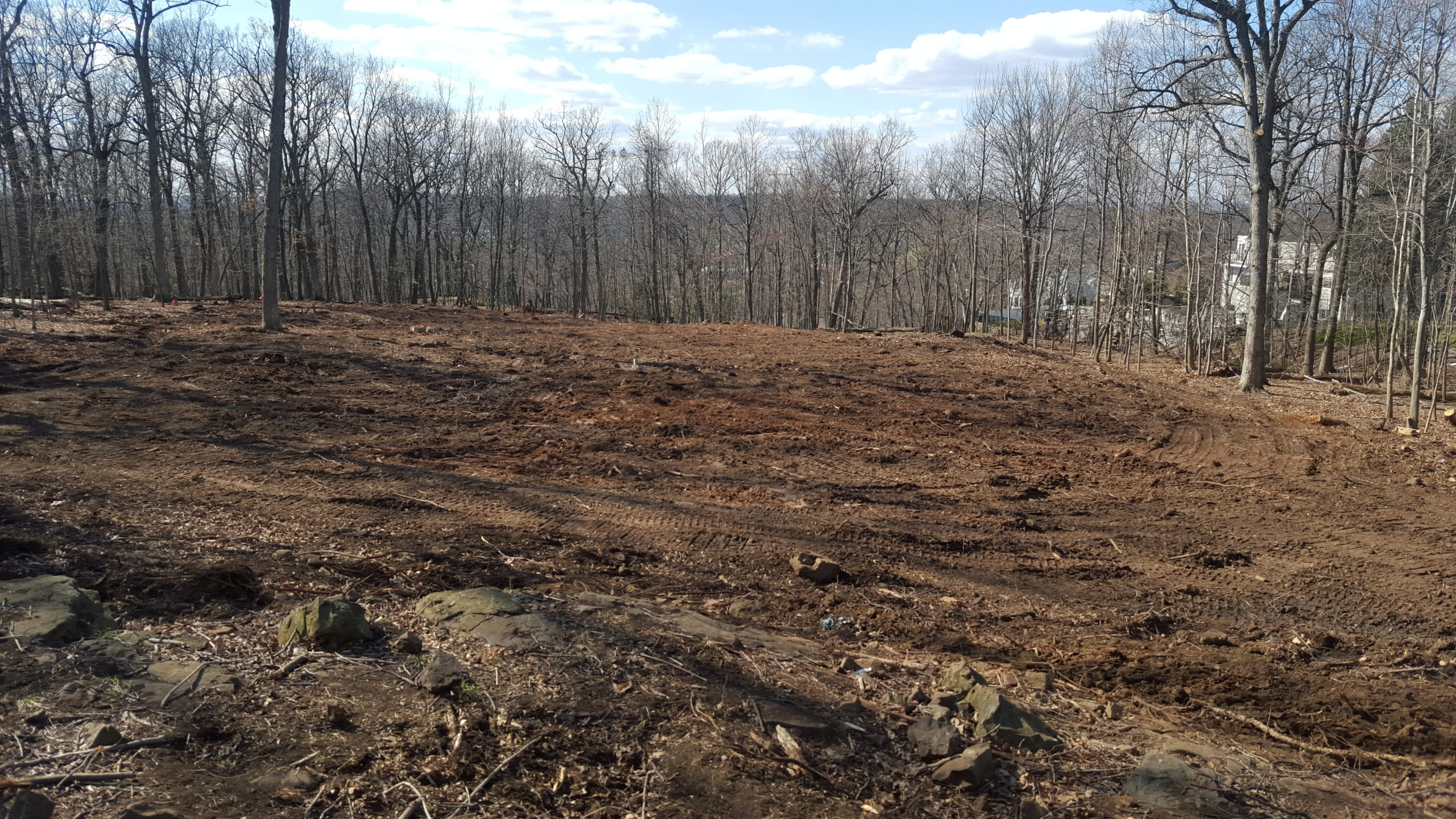 Cleared Land - Tree Removal Services