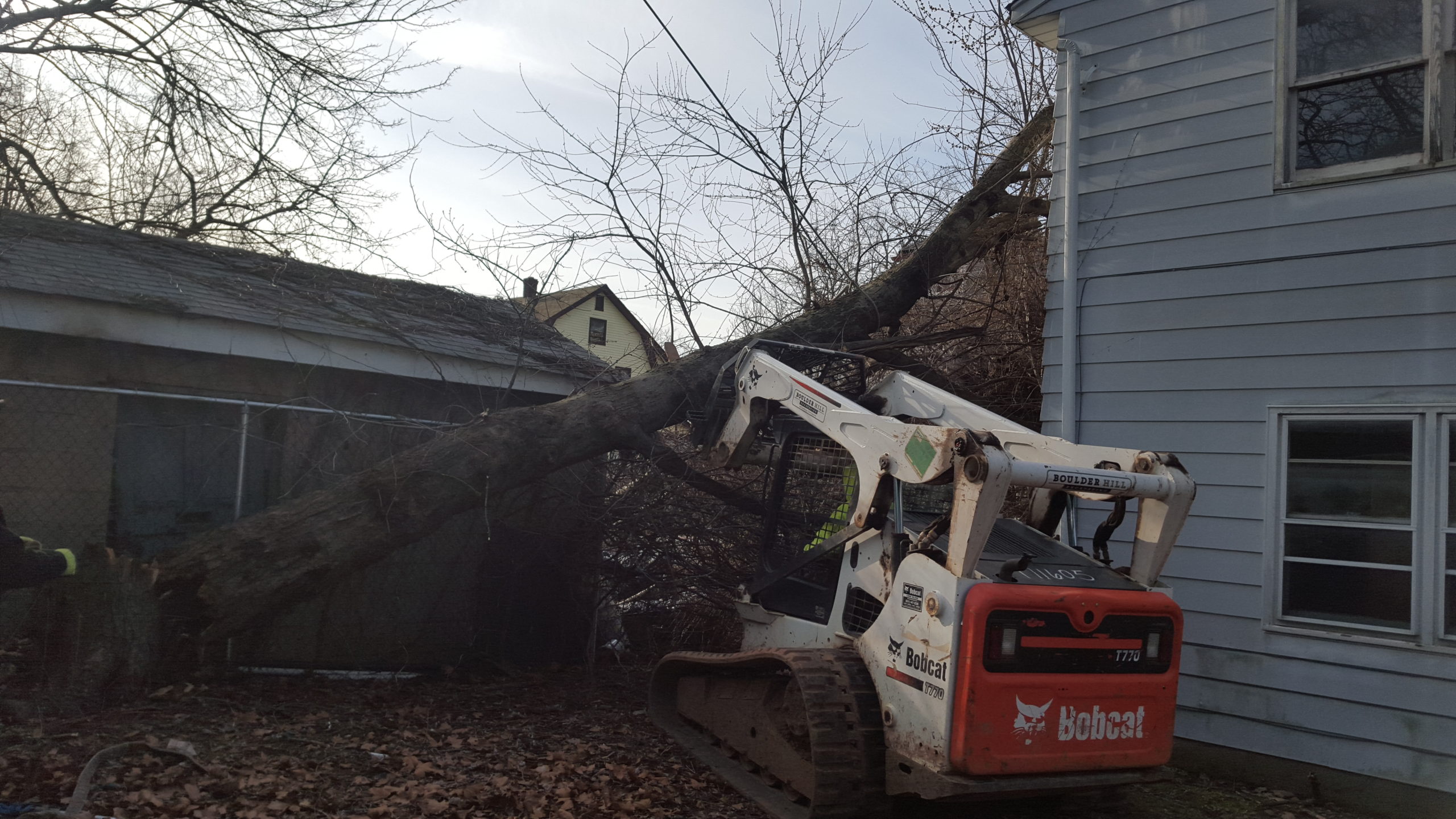 Removing Fallen Tree - Storm Damage Services NJ