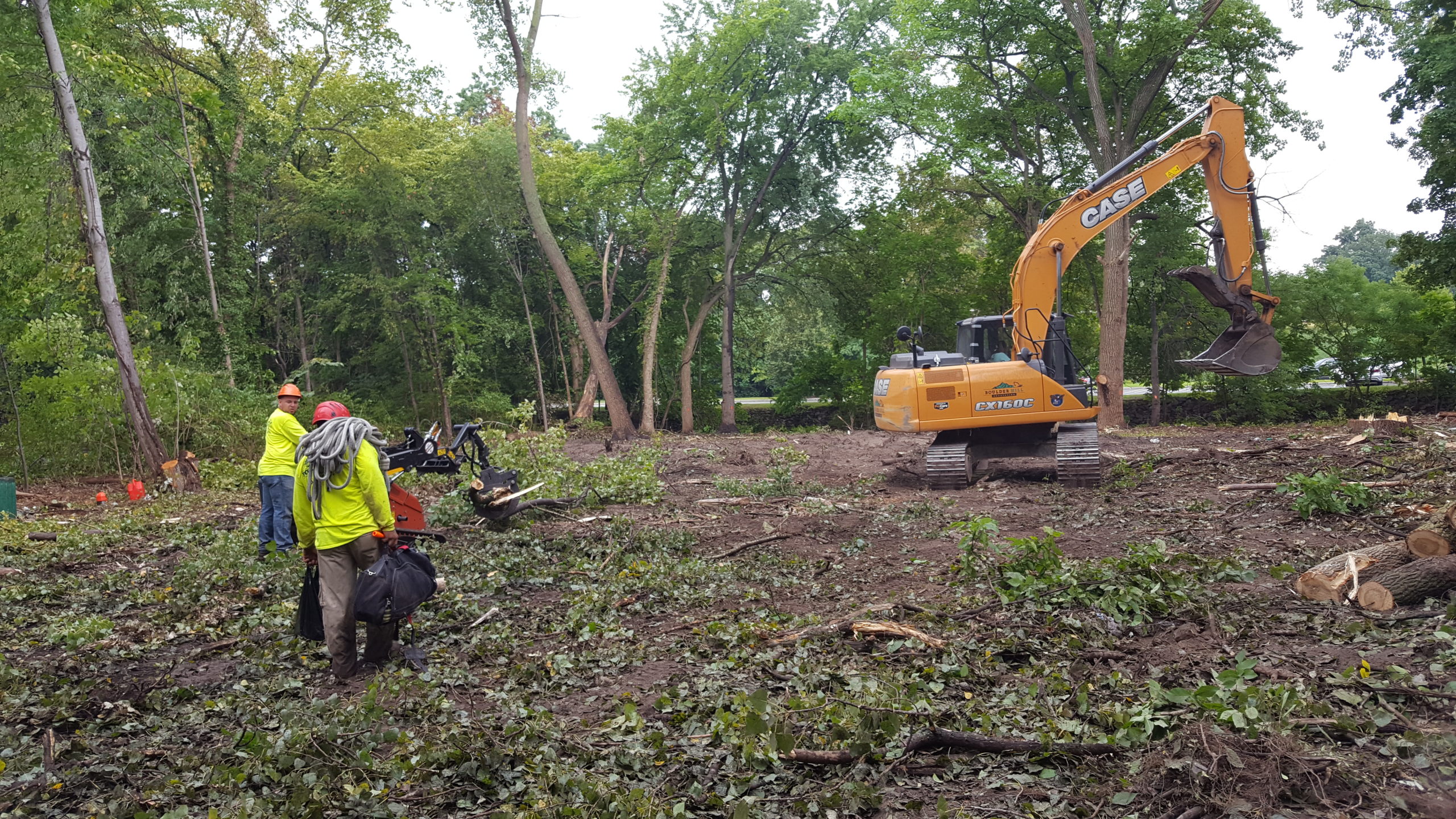 Commercial Land Clearing - NJ Tree Removal Services
