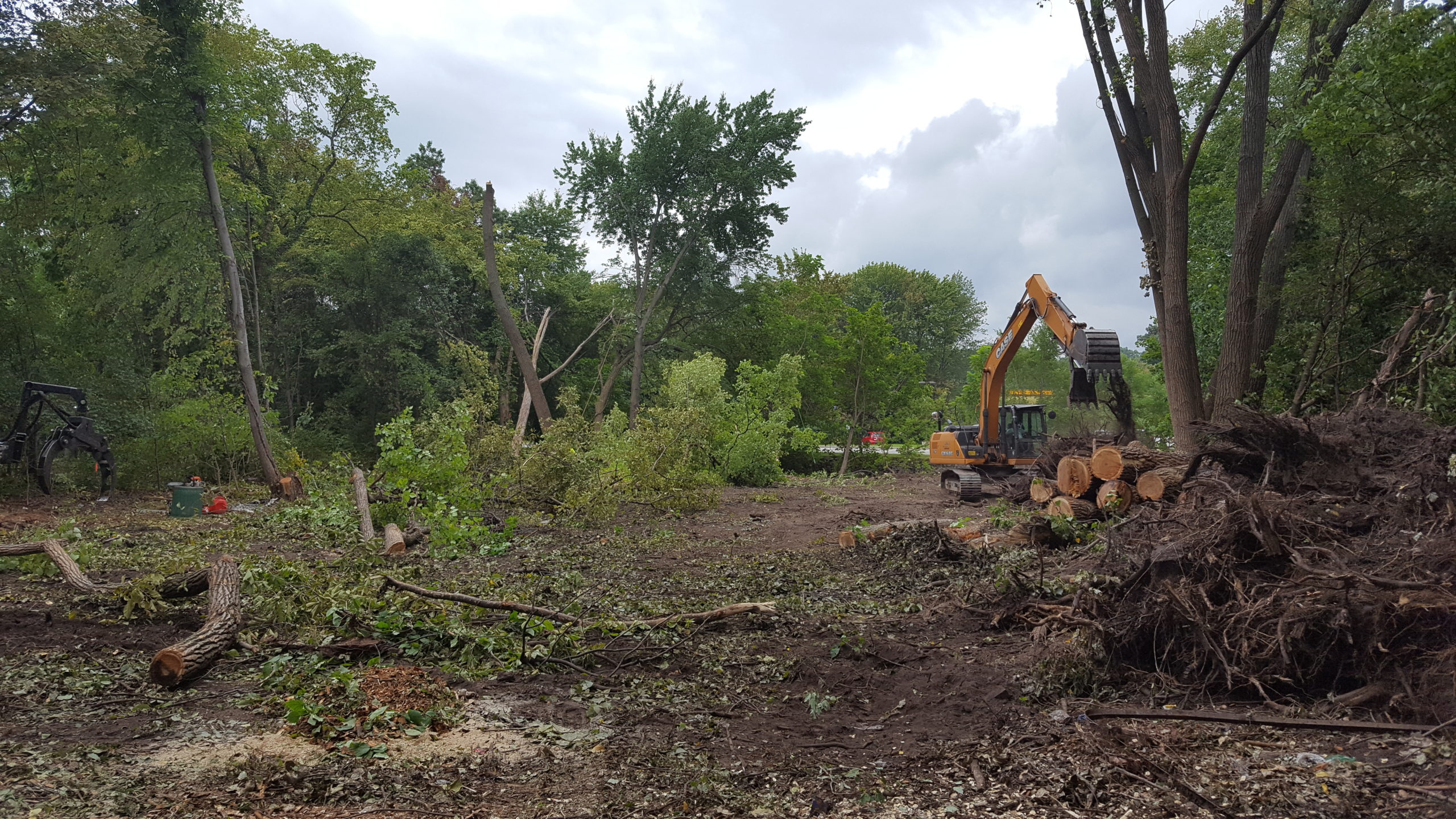 Land Clearing and Tree Removal - NJ Tree Care Services