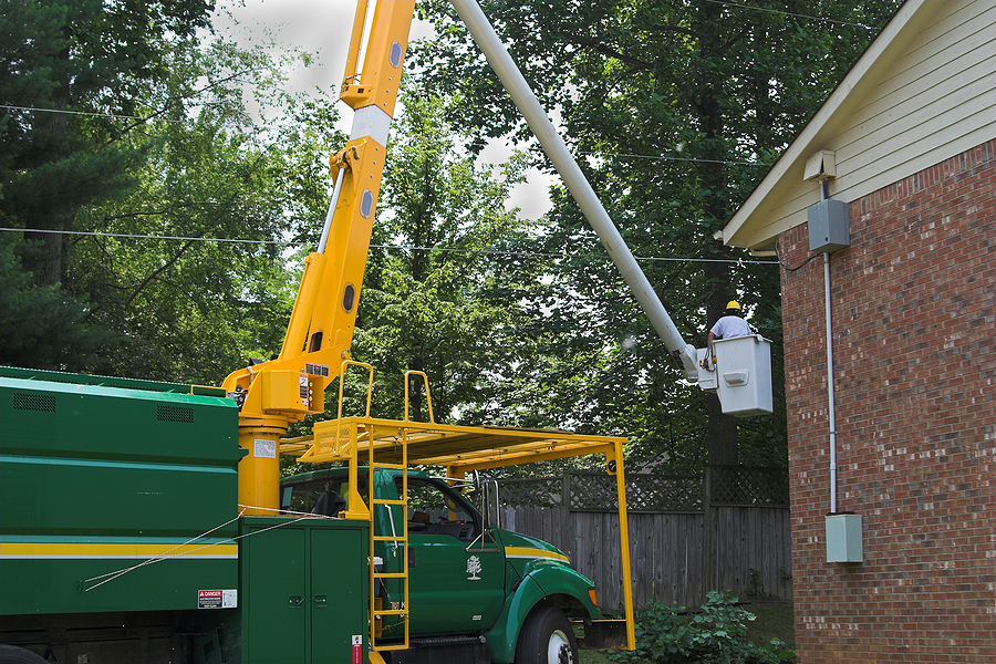  Commercial tree services near me 