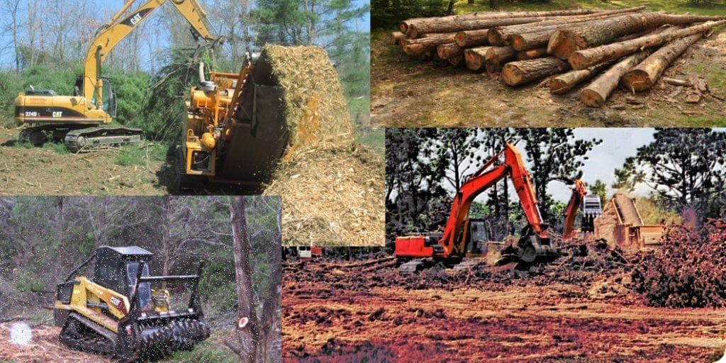 The Benefits of Professional Land and Tree Clearing Service