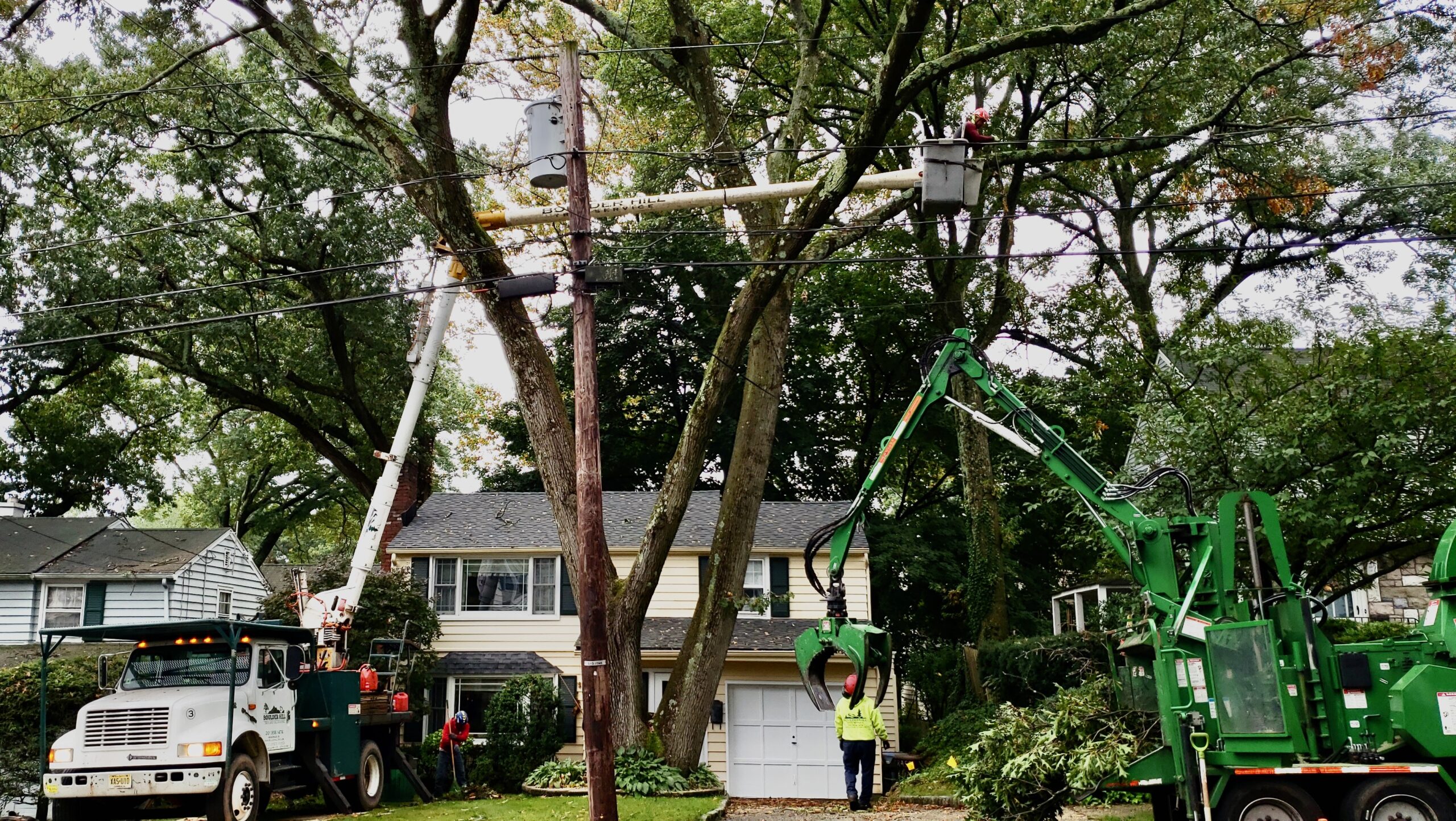 tree trimming by boulder hill tree service